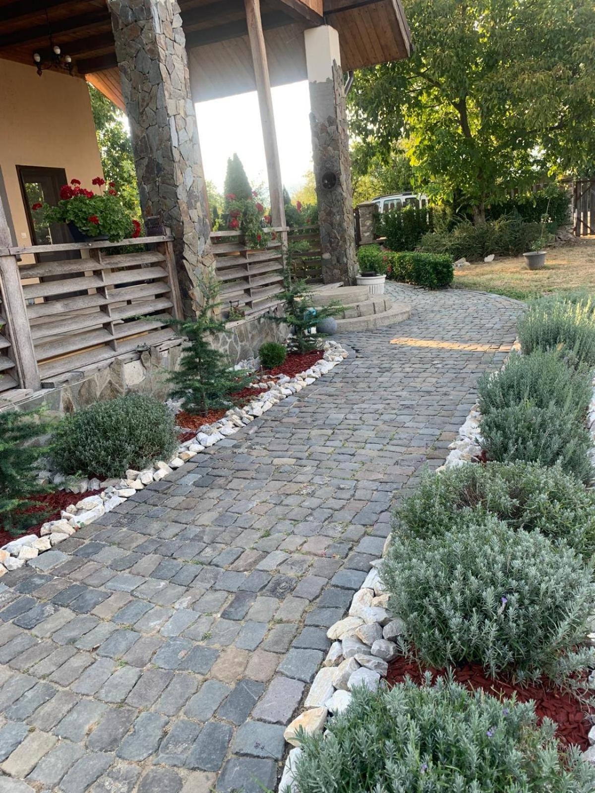 מלון Pestisani Casa Gorjeana Complex Agroturistic מראה חיצוני תמונה